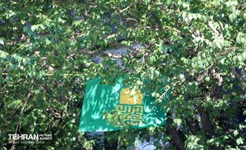 اجتماع بزرگ امام رضایی‌ها - 3 4