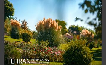 بوستان جوانمردان ایران 7