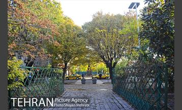 طبیعت پاییزی بلوار کشاورز 18