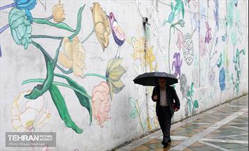 بارش باران بهاری در تهران - 2 17