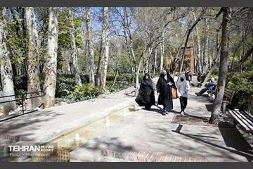 باغ ایرانی در ایام نوروز  15