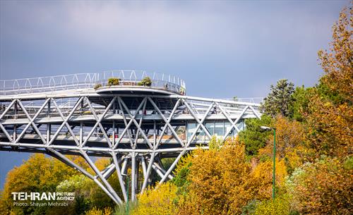 سمفونی رنگ های پاییزی 32