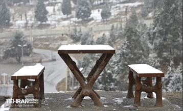 بارش برف زمستانی در بوستان سرخ حصار 8