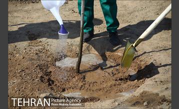 کاشت درخت میثاق در حرم امام خمینی 19