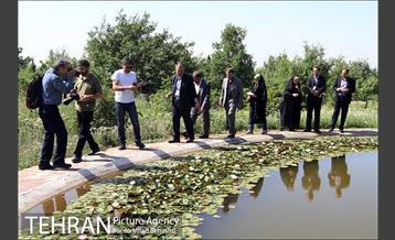 تهرانگردی احمد مسجدجامعی در منطقه 22‎ 13