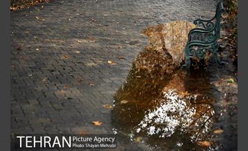 پاییز در پارک شهر 35