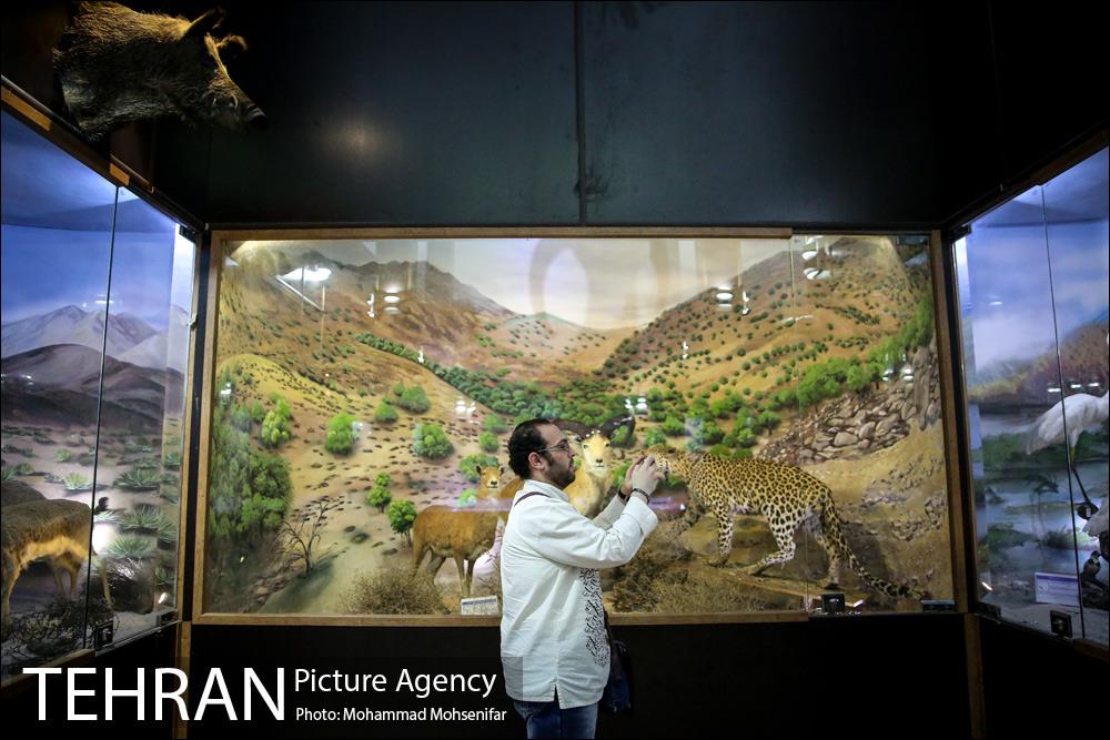 بازدید از موزه های منطقه ۱۳ 25