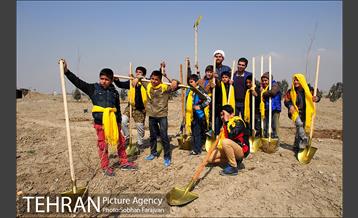 کاشت نهال در بوستان ولایت  33