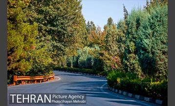 بوستان جنگلی چیتگر 7