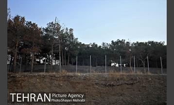 فراموش شدگان اداره منابع طبیعی در بوستان چیتگر 6