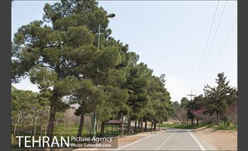 تعطیلی بوستان جنگلی سرخه حصار به منظور پیشگیری از شیوع ویروس کرونا 1