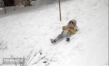 بارش برف در تهران 14