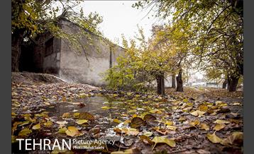 پاییز زیبای منطقه کن 9