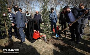 سنت حسنه درختکاری، یادبود شهدای منطقه6