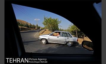 بوستان جنگلی لتمال کن 20