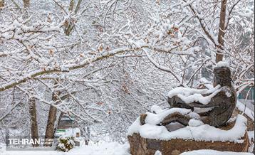 روز برفی در منطقه 6