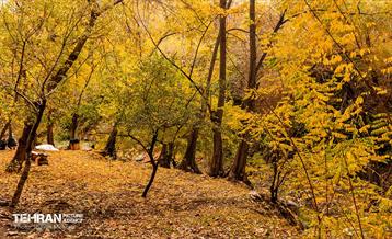 رود دره فرحزاد 43