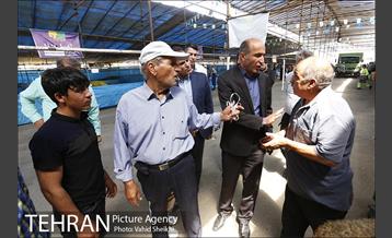 بازدید سعید راد از مراکز عرضه دام  8