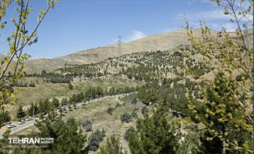 روز طبیعت در منطقه ۵ 43