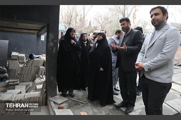 بازدید اعضای شورای شهر از پروژه‌های مرکز ارتباطات و امور بین‌الملل 35