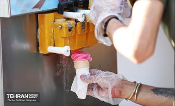 جشنواره گل و گلاب در برج میلاد 16