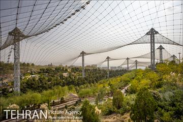 باغ پرندگان فاز دوم 1