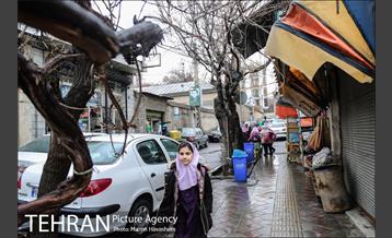 محله ده ونک 8