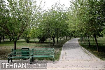 بوستان آزادگان 19