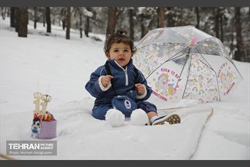 روز برفی تهران - 2 6