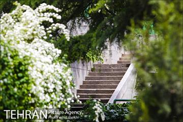 بوستان نیاوران 23