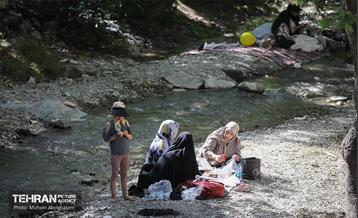 همایش پیاده روی خانوادگی در رود دره فرحزاد 40