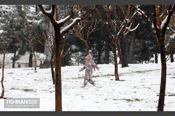 بارش برف در تهران 2