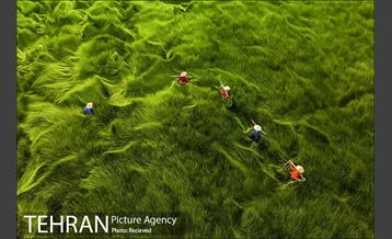 برندگان جایزه عکاس هوایی سال ۲۰۲۰  21