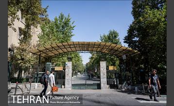 شهرنگار؛ خیابان ۱۶ آذر 15