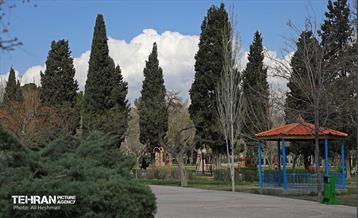 بهار در منطقه 18 17