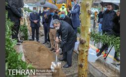 آئین کاشت درخت زندگی 18