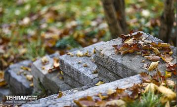 سمفونی رنگ های پاییزی - کاخ سعدآباد 24