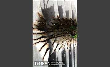 باغ موزه هنر ایرانی‎ 15