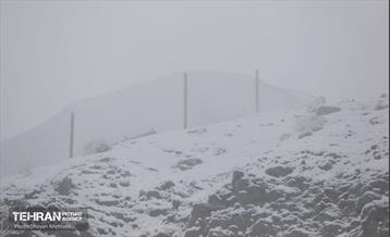 بارش برف زمستانی در تهران 7
