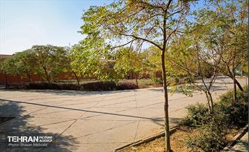 به وقت خدمت؛ باغ‌راه حضرت زهرا(س) محدوده آیت الله سعیدی 73