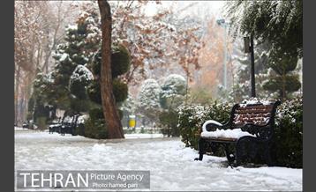 روز برفی تهران در پارک شهر 2