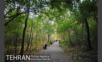 باغ گیاه‌شناسی ملی ایران 15