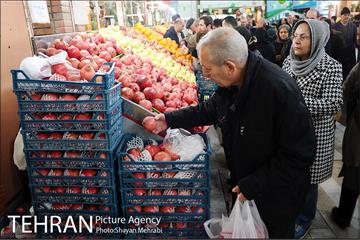 بازدید شهردار تهران از بازار میوه و تره بار جلال آل احمد 12