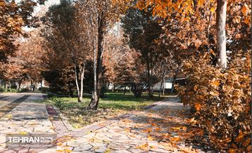 گذرگاه های پاییزی پایتخت - منطقه 9