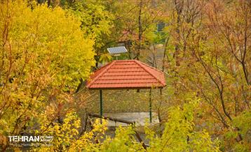 هوای پاییزی پایتخت 9