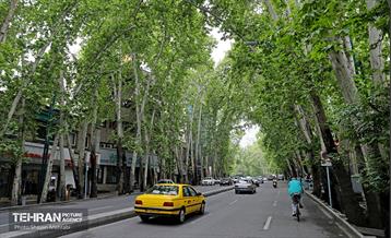هوای بهاری تهران 24