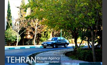 شهرک صدرا 22