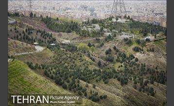 روز طبیعت در بوستان هاى منطقه ٥