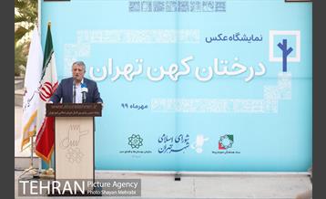 آیین نکوداشت درختان بالای صد سال تهران 24