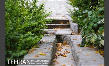 بوستان شطرنج 18